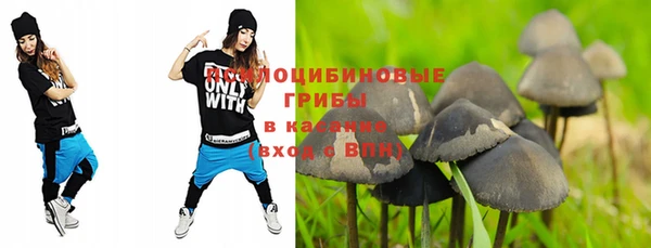 амфетамин Каменногорск