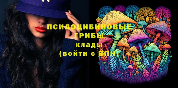 альфа пвп Каменск-Шахтинский