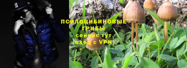 герыч Инта